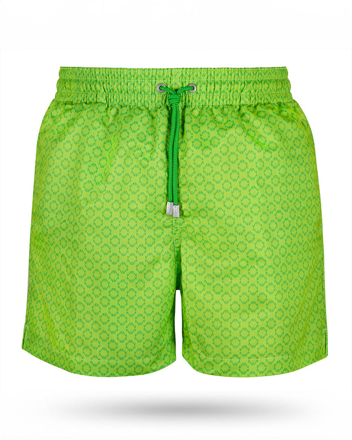 NORQAIN Swim short Gecko