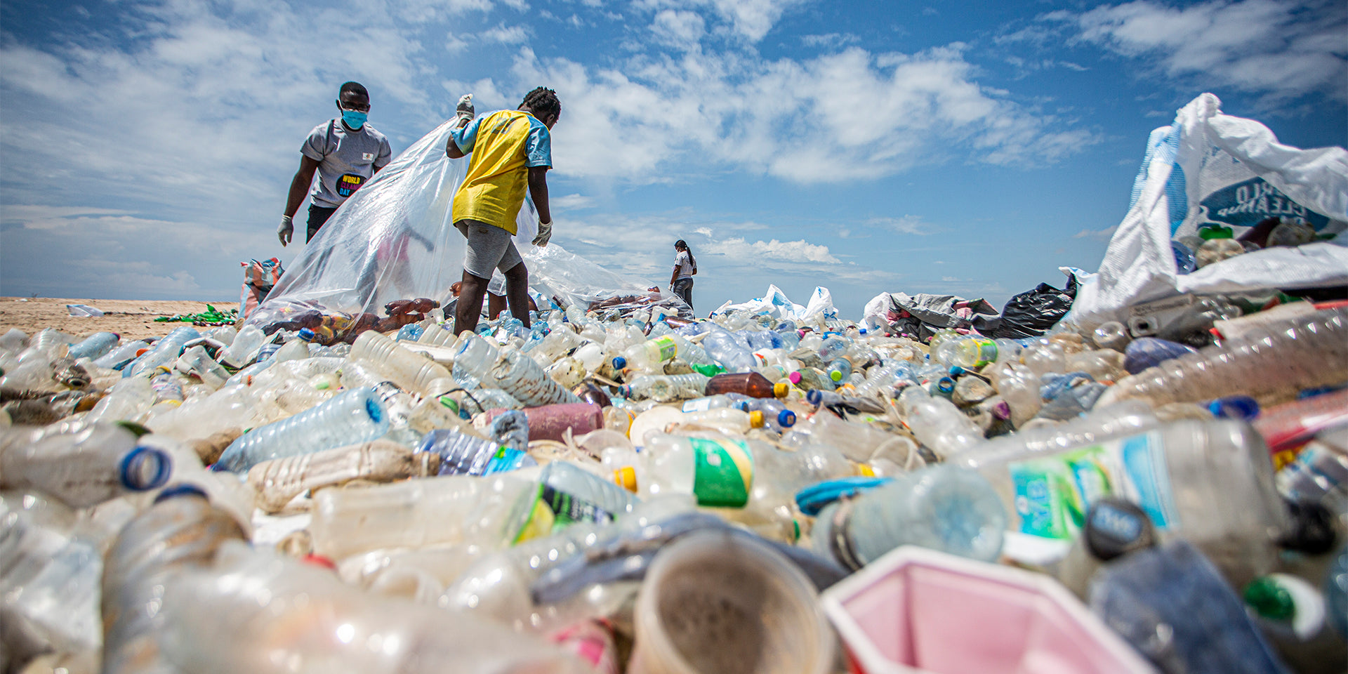 The World Cleanup Day - NORQAIN